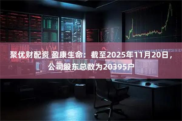 聚优财配资 盈康生命：截至2025年11月20日，公司股东总数为20395户